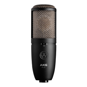 P420 - Black - High-performance dual-capsule true condenser microphone - Hero